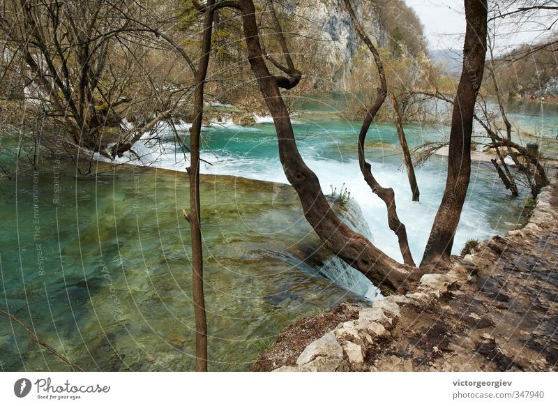 Plitvice Lakes, Croatia Environment Nature Landscape Water Spring Autumn Climate Climate change Weather Bad weather Gale Tree Forest Lakeside River bank