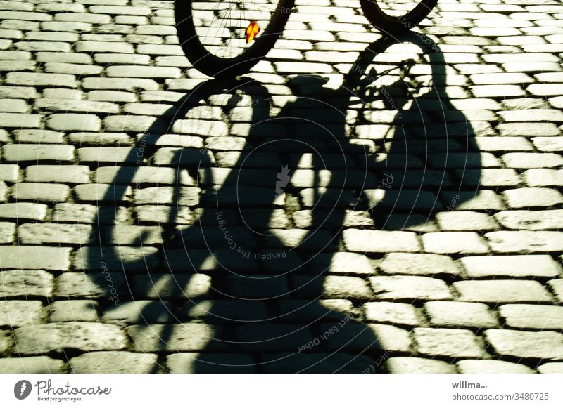cobblestone bike ride Cycling Shadow Cobblestones cycle Bicycle sunny Exercise in fresh air Movement Street Leisure and hobbies Means of transport bike tour