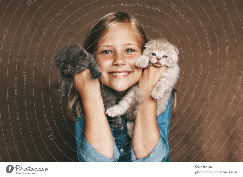 The child holds beautiful British kittens of different colors in the hands of female woman happiness smile little white cheerful portrait kid mother caucasian