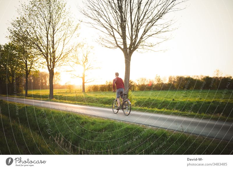 Man rides a bicycle across the country in the sunlight Trip Driving Bicycle Cycling Cycling tour Exterior shot Lanes & trails Colour photo Movement Day