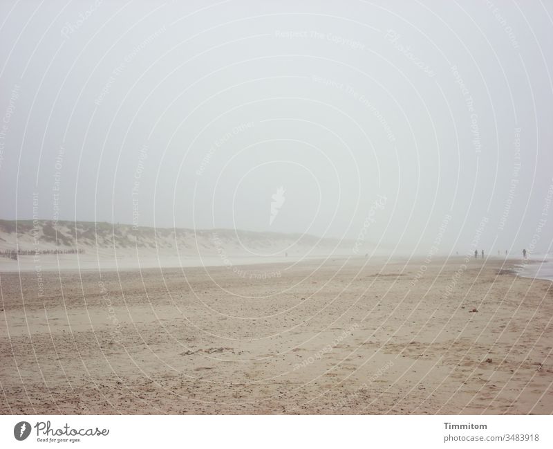 Sounds | of wind and waves on Danish beach Denmark Sand Beach dunes Wind Waves Noise people North Sea vacation Nature Gale