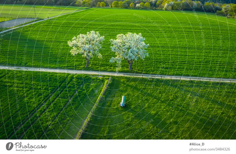 aerial view of spring blooming Fruit trees on  green agriculture fields  Remagen Germany above agricultural apple background branch countryside drone