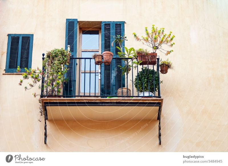 Mediterranean balcony with metal railing on which plants are placed in clay pots. The facade is painted in light terracotta and the shutters of the balcony door and window are dark blue or petrol