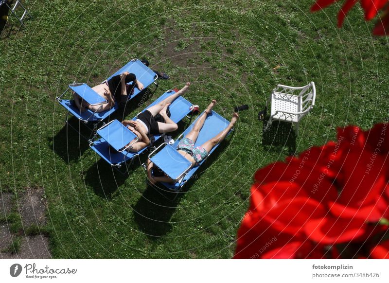 Sunbathing: three young men on three blue deckchairs chill relax Relaxation Couch Lie Goof off masculine Cool Break sunbathing young adults Together Summer Man