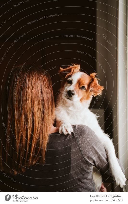 young woman and her cute dog at home by the window. back view indoors kiss love together togetherness daytime caucasian jack russell stay home stay safe