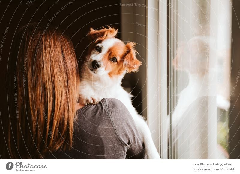 young woman and her cute dog at home by the window. back view indoors kiss love together togetherness daytime caucasian jack russell stay home stay safe