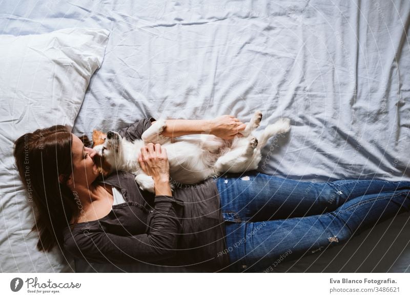 young woman and dog at home resting on bed. Love, togetherness and pets indoors sleeping love daytime caucasian jack russell stay home stay safe quarantine girl