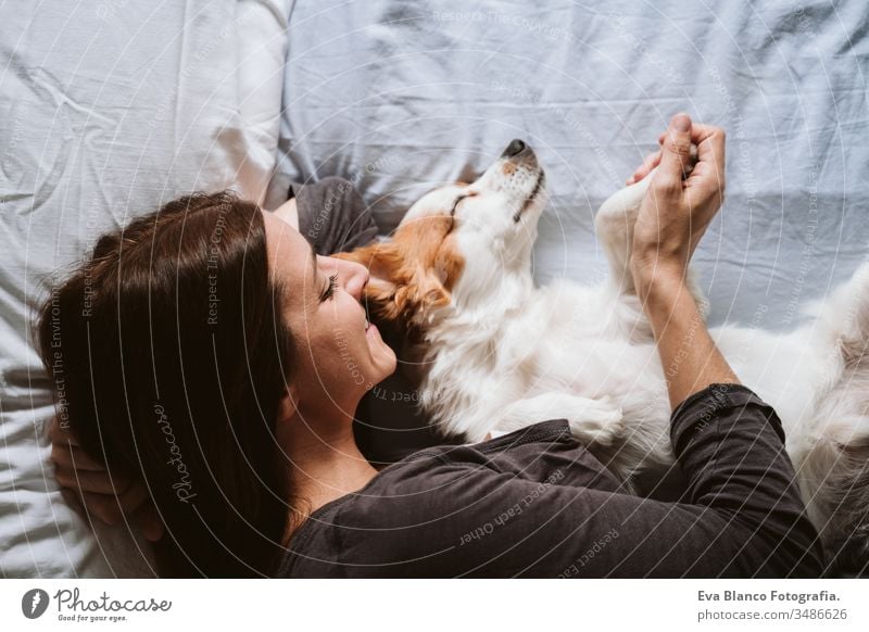 young woman and dog at home resting on bed. Love, togetherness and pets indoors sleeping love daytime caucasian jack russell stay home stay safe quarantine girl