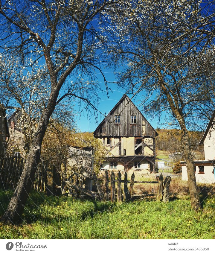 Gap in the fence Village Lausitz forest Saxony Meadow House (Residential Structure) Ruin Old Fence Wood Spring trees tree blossom Sunlight Cloudless sky