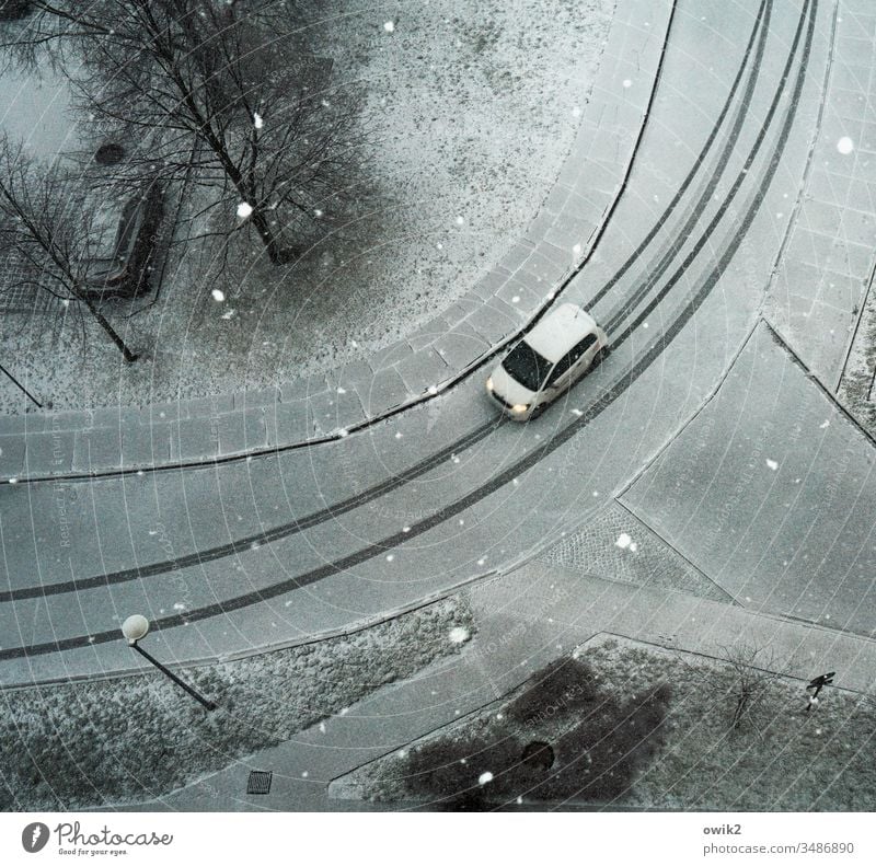 White car on white background Bird's-eye view view from above Downward Street Tracks Winter Vehicle Car Snow snowflakes snowy Skid marks Lonely trees Bushes