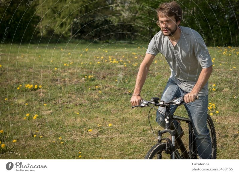 A young man rides his mountain bike onto a meadow dotted with dandelions Young man Masculine Human being 1 Mountain bike Bicycle Cycling Meadow Grass Dandelion