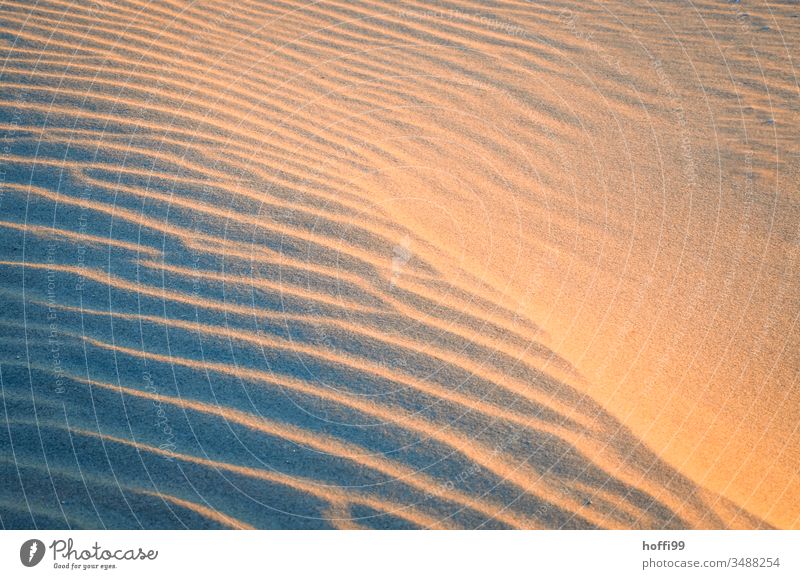 Dune with traces of sand in the sunset Desert Sand Beach dune Warmth Drought Hot Climate change Global warming silty Environment Nature Landscape Africa