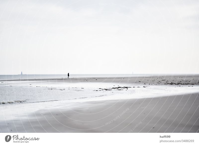Man alone on the beach North Sea coast Human being Loneliness by oneself Beach Coast Ocean Exterior shot Island Relaxation Mud flats Sandy beach shallow water