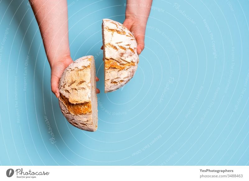 Bread sliced in two held in womans hands. Sourdough bread above view bake baked bakery baking bread blue background bread interior carbs comfort food crust cut