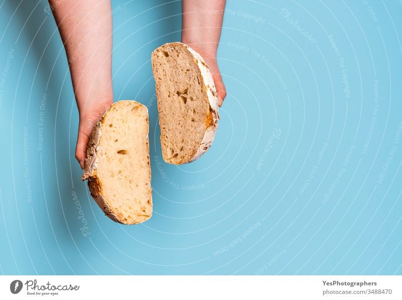 Sourdough bread sliced in two against a blue background. above view bake baked bakery baking bread bread interior carbs comfort food crust cut cut out fresh