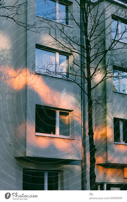 enlightenment House (Residential Structure) Window Apartment Building tree Light Light (Natural Phenomenon) Visual spectacle open window Facade Apartment house