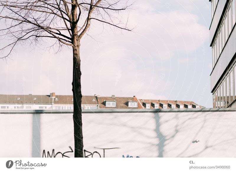 tree, wall, houses, sky Autumn built Wall (building) Sparse Architecture Town Sky Gloomy Graffiti Beautiful weather