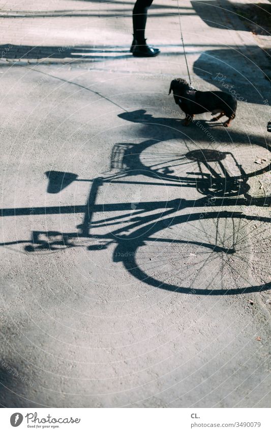 bike, dachshund, legs Bicycle Dog Dachshund Legs Lanes & trails Shadow Shadow play person Street Animal Pet Love of animals Exterior shot Cute