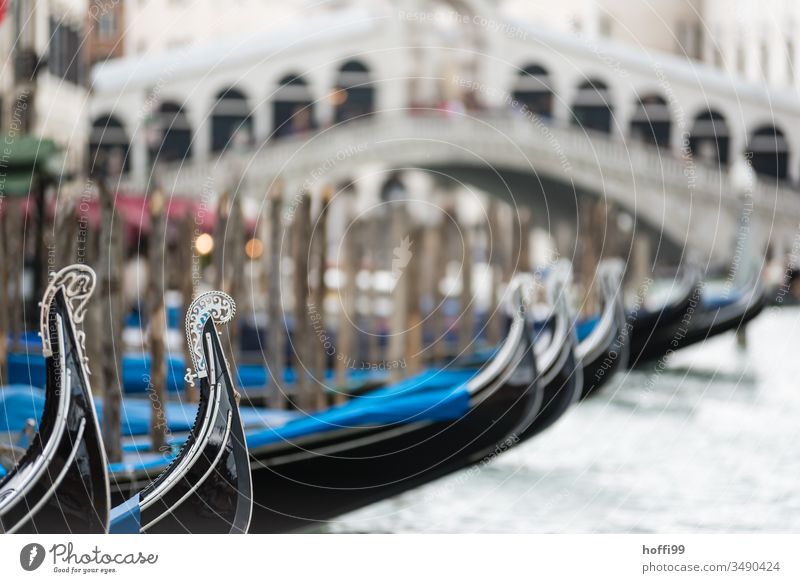 A series of gondolas on the Canale Grande with the Rialto Bridge in the background Gondolier gondolieri Venice Italy Gondola (Boat) Canal Grande Channel