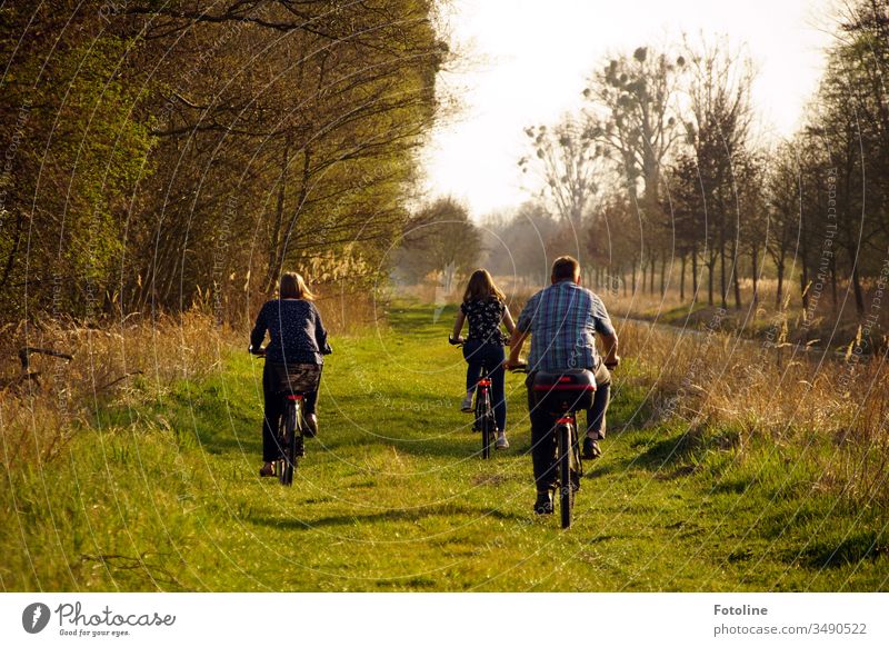 Sunday outing - or a father taking his teenage daughters on a bicycle tour through the Drömling nature reserve. Cycling tour Bicycle Exterior shot Day