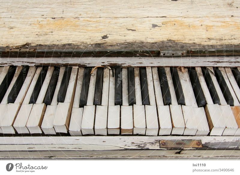 Once upon a time there was a piano ... Bulk rubbish Decoration nostalgically Wood Weathered Eye-catcher disused black and white fumble Keyboard tool Defective