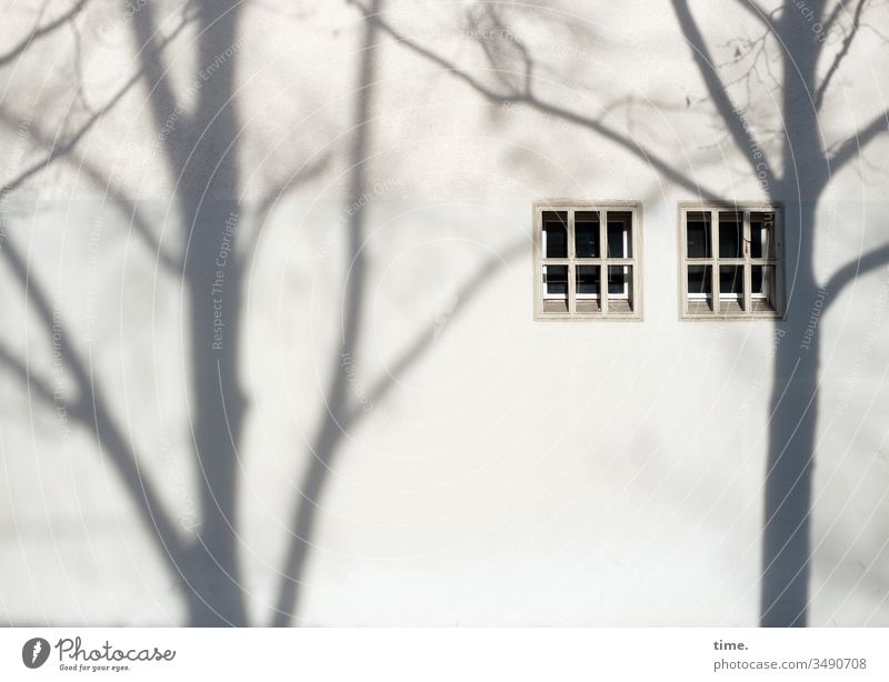stage design | architecture and nature Shadow Wall (building) Window Tree Wall (barrier) dwell evening light sunny shady Pattern structure Branch