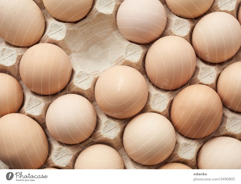 whole round raw brown homemade chicken eggs in a paper tray agriculture animal background bird box breakfast carton case closeup color cuisine diet dinner
