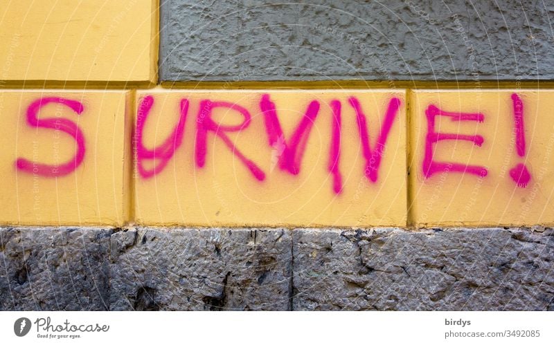 survive !, survive !, sprayed, lettering in English on a house wall in close-up format Survive invitation Brave Poverty Climate change Deserted