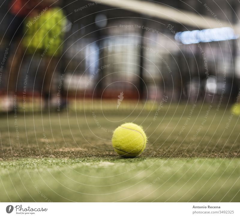 paddle tennis ball in court. Defocused man in background training padel sport class indoors net racket paddle-tennis game nobody player practice sports people
