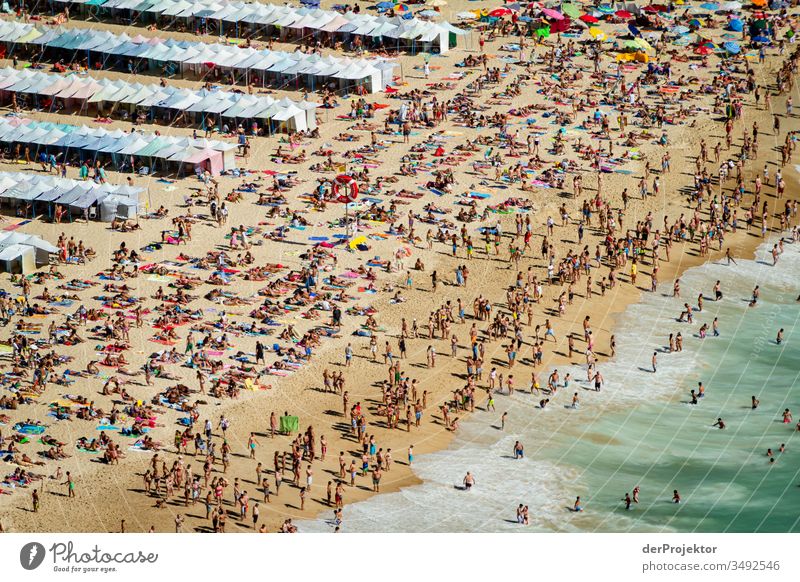 Crowded beach in Nazaré Brown Green aqueous Leisure and hobbies Multicoloured Exterior shot Tourism Sand Tracks Water Sunlight Environment Self-confident