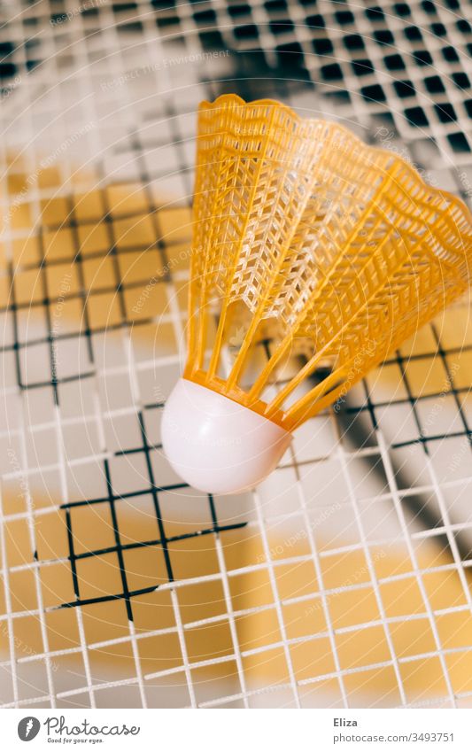Close-up of a yellow shuttlecock on the net of a badminton racket Shuttlecock Badminton play badminton badminton rackets Playing Sports Leisure and hobbies