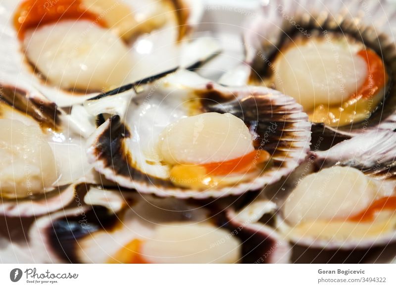 Royalty-Free photo: Close-up photo of scallop shell
