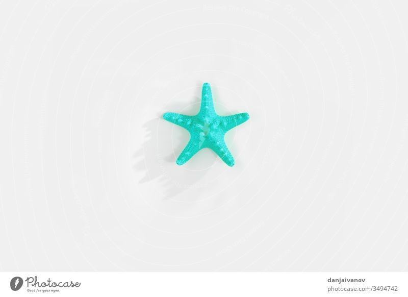 Starfishs isolated on white background beach blue decoration design marine nature ocean sea shell star starfish summer tropical