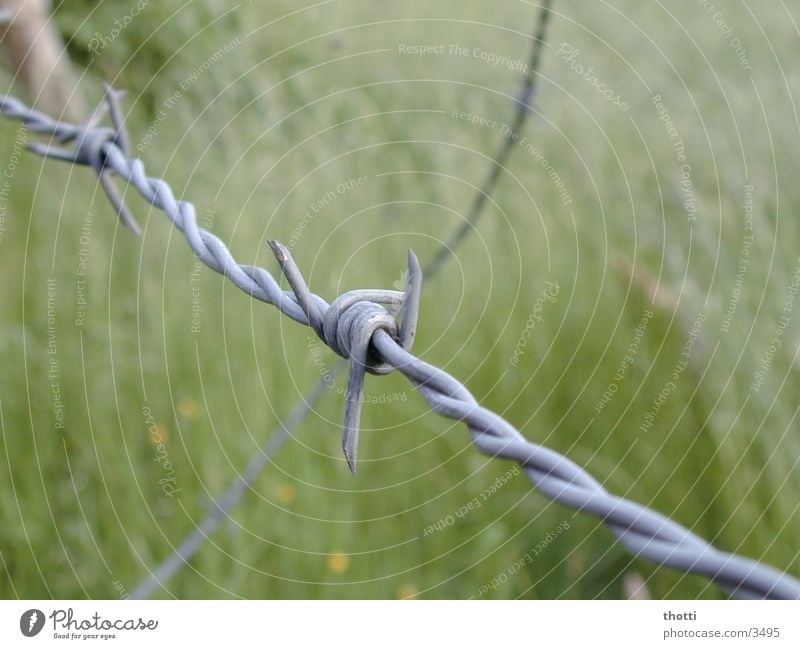 barbed wire Barbed wire Fence Photographic technology