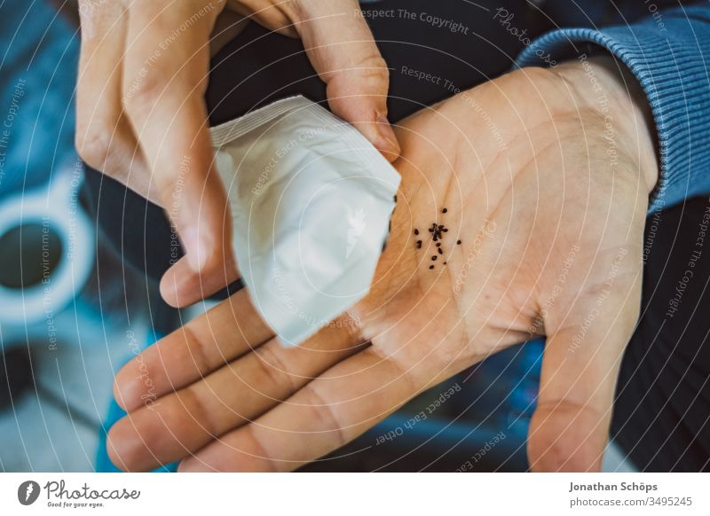 Close-up of seeds of a plant on one hand for planting Balconing Balcony Balcony planting Hand hobby Hope plant seeds sowing Seed Paper bag grow green organic