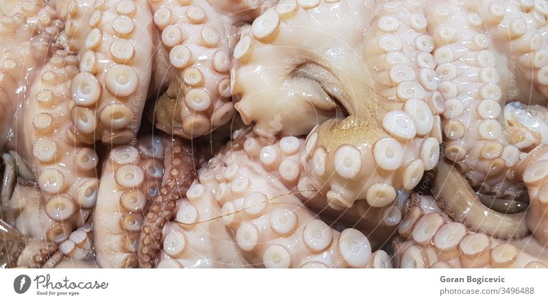 Fresh octopus healthy seafood raw market fresh background ocean gourmet cold ice nutrition animal nature delicious mediterranean