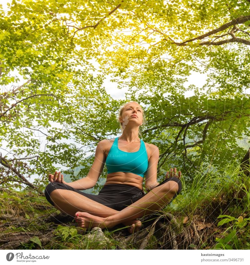 Women Wearing Sports Bra Meditating in the Woods · Free Stock Photo