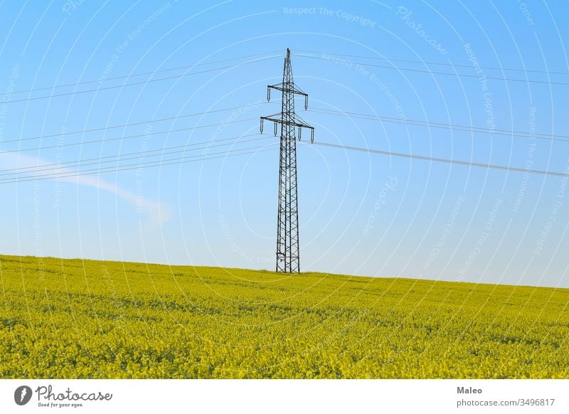 Electricity pylons in an blooming rapeseed field electricity yellow agriculture energy landscape nature plant blossom cable sky industry power blue crop oilseed