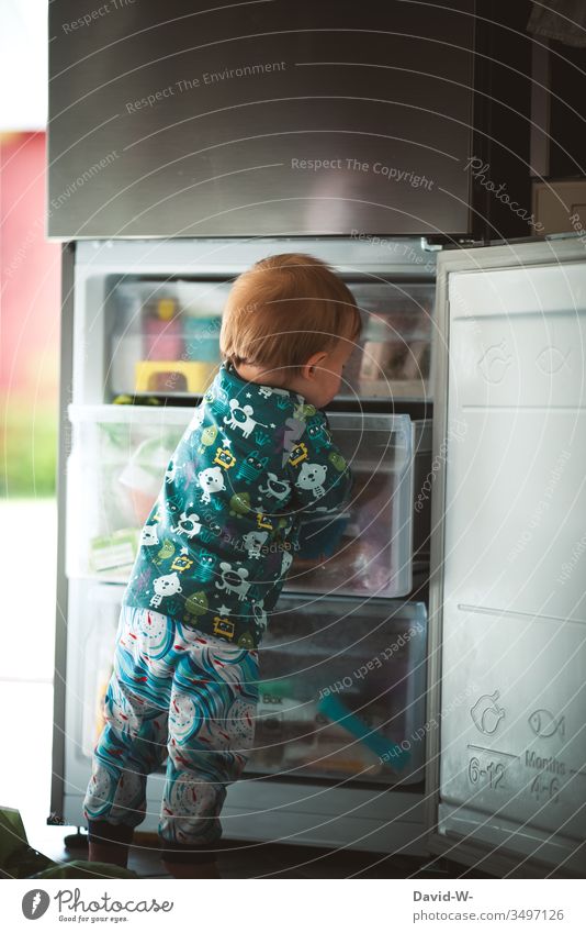 there is a lot to discover in the kitchen Discover explore Toddler Child Boy (child) inquisitorial Cute Curiosity cake Icebox Freezer freezer cheeky monkey Find