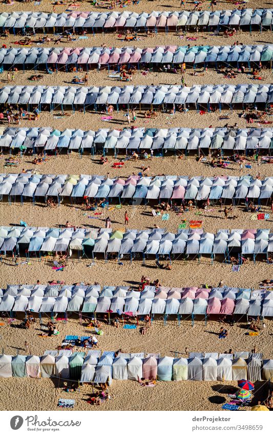 Clear lines, but too little distance on the beach of Nazaré seashore Landscape Crowd of people Vacation & Travel Willpower Aerial photograph Adventure