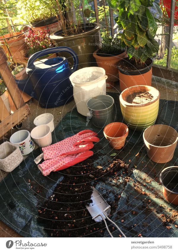 the new red garden gloves and pots are waiting on the balcony. Nature flowers Plant Garden Exterior shot Colour photo Deserted Summer Blossoming spring Close-up