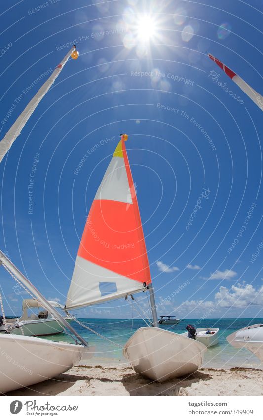 BÖÖTSCHE Mauritius Africa Beach Ocean Watercraft Sailboat Sailing ship Back-light Colour photo Vacation & Travel Travel photography Paradise Aquatics Sun