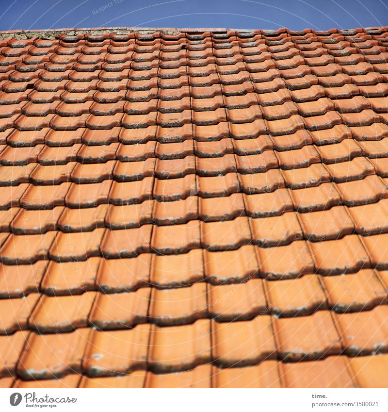 colonel's room Roofing tile Partially visible Inspiration out built Architecture Red roof tiles structure Pattern Undulating wavy Historic Old craftsmanship Sky