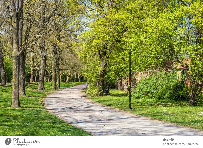 Path along the city wall in the Hanseatic City of Rostock Architecture Manmade structures City wall Town Wall systems Tourist Attraction center City centre