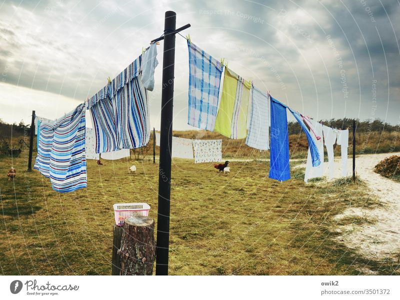 Dry wipes Laundry Washing day clothesline Textiles Hang Wet Towels wag Wind Clothes peg Meadow Sky Clouds out Exterior shot basket Pole Pillar Grass Bushes