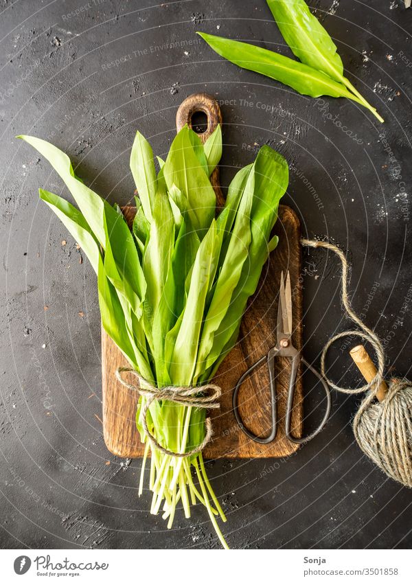 Fresh wild garlic in a bunch on a cutting board, garden shears and yarn on a rustic table. Spring, healthy food Club moss Raw Green Vegetable Food