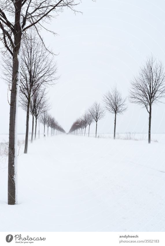 Snowdrifts on the country road after a onset of winter asphalt atmosphere Background beautiful blue branches car centre chaos cold copy space day december drive