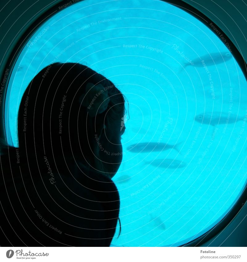 totally blue and exciting Human being Feminine Child Girl Head Hair and hairstyles 1 Water Animal Fish Flock Cold Blue Observe Porthole Submarine Colour photo