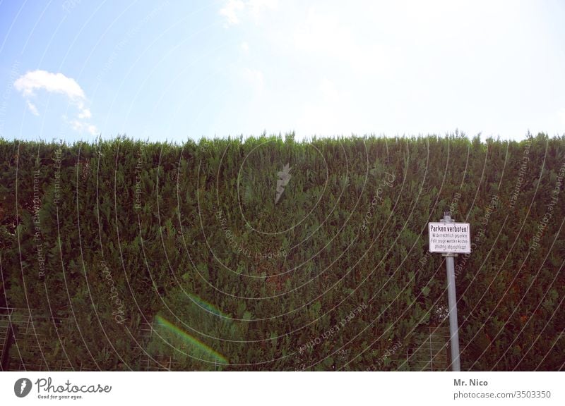 parking ban Hedge no parking Signage Road sign Back-light Sky Clearway Signs and labeling Bans Limitation No standing green bushes Foliage plant Growth Sunlight