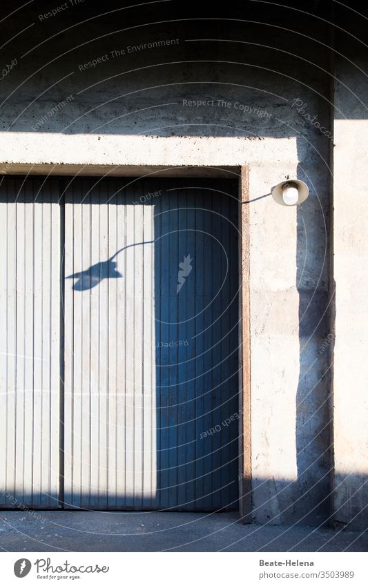 Shadow play: House wall, gate and lamp cast shadows and change their shape Light Light (Natural Phenomenon) house wall Goal Lamp Deserted Contrast Exterior shot